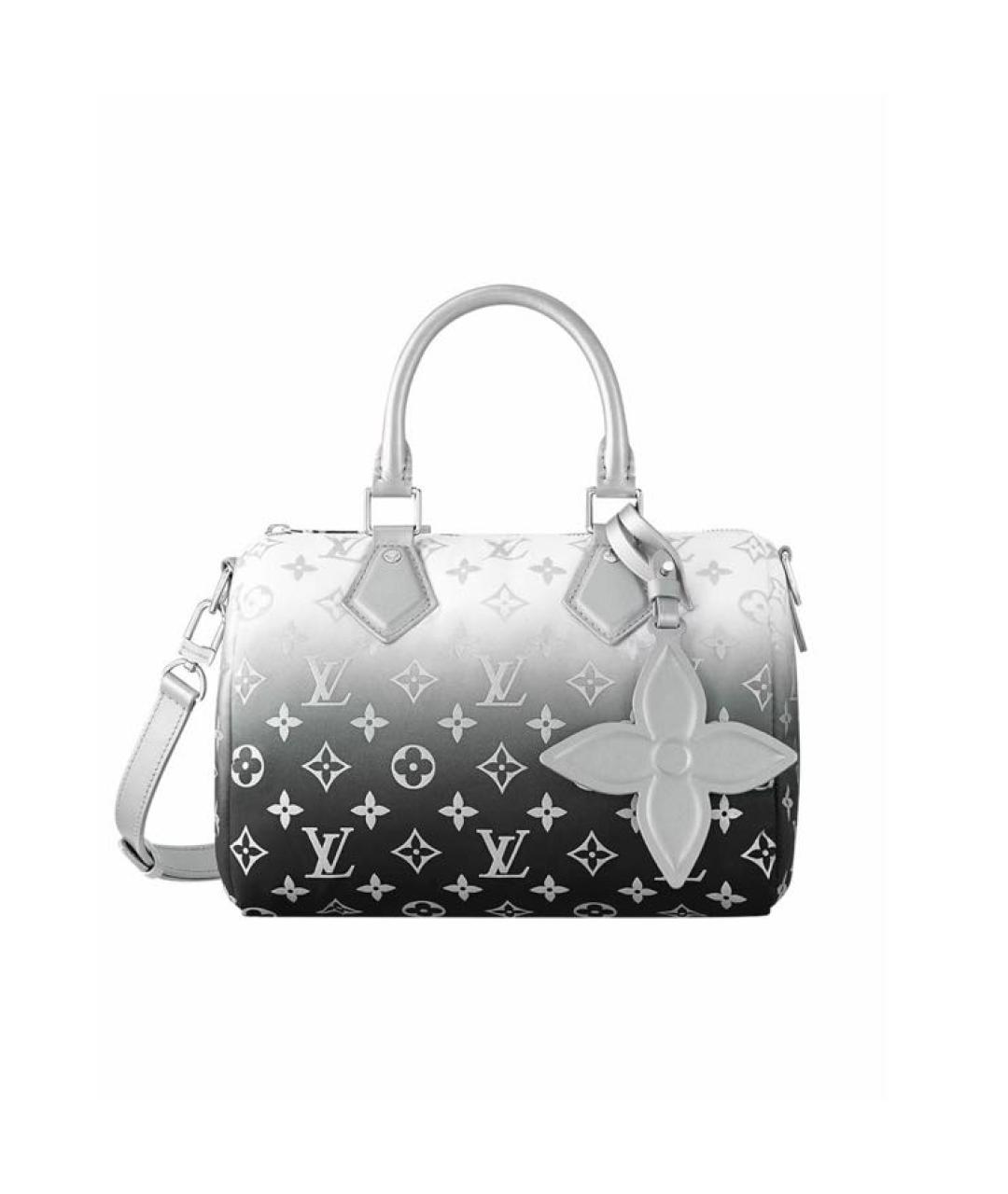 LOUIS VUITTON Серая сумка с короткими ручками, фото 1