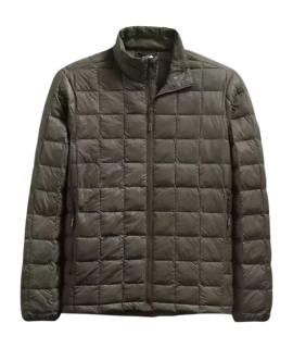 THE NORTH FACE Пуховик