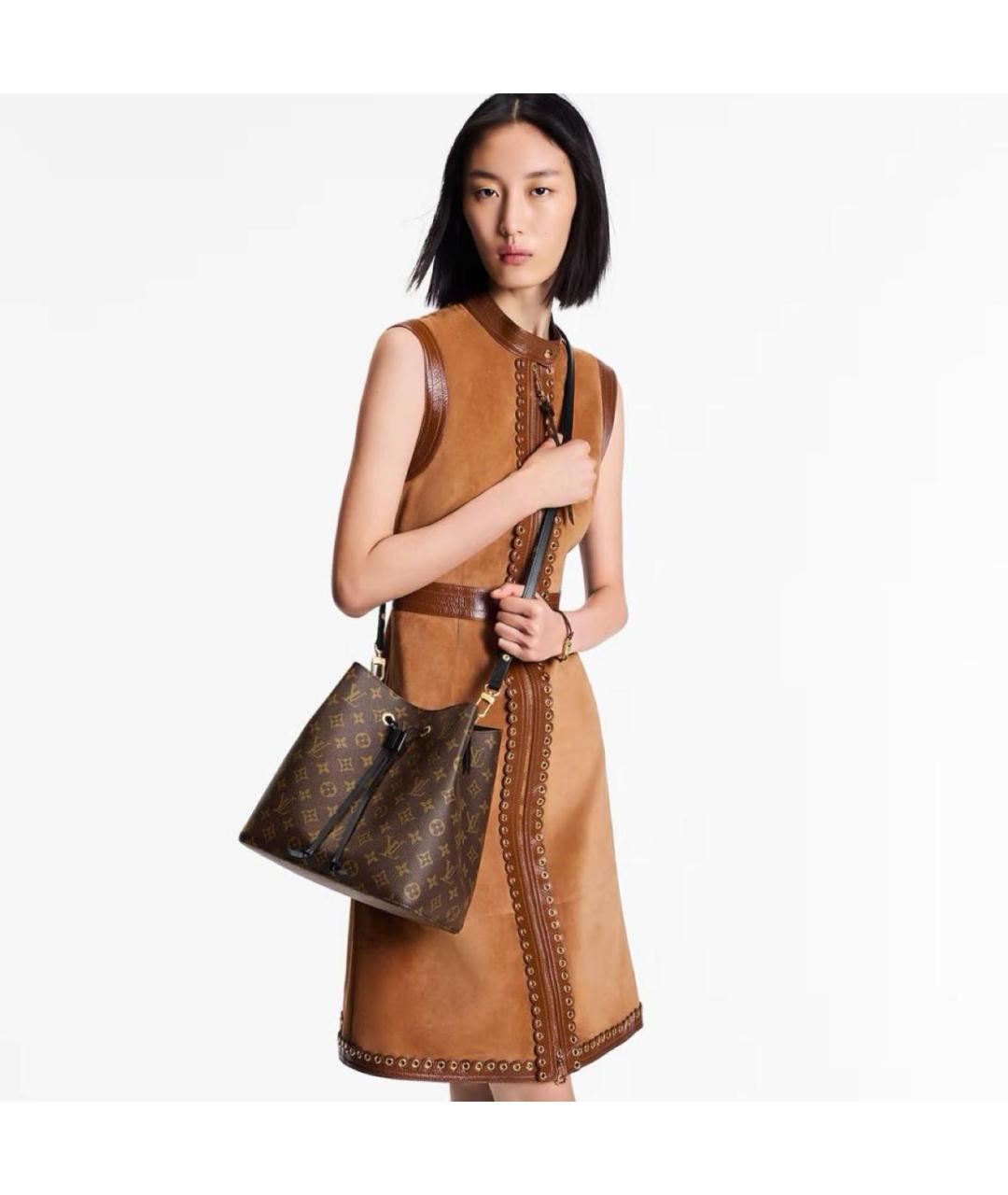 LOUIS VUITTON Коричневая сумка тоут, фото 2