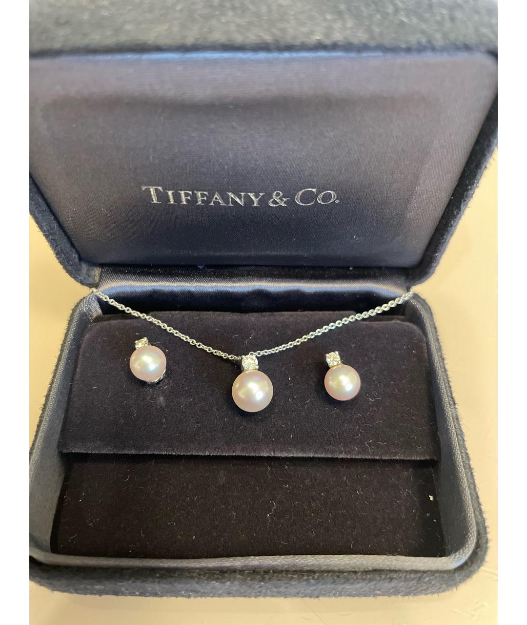 TIFFANY&CO Серебрянный платиновый комплект, фото 5