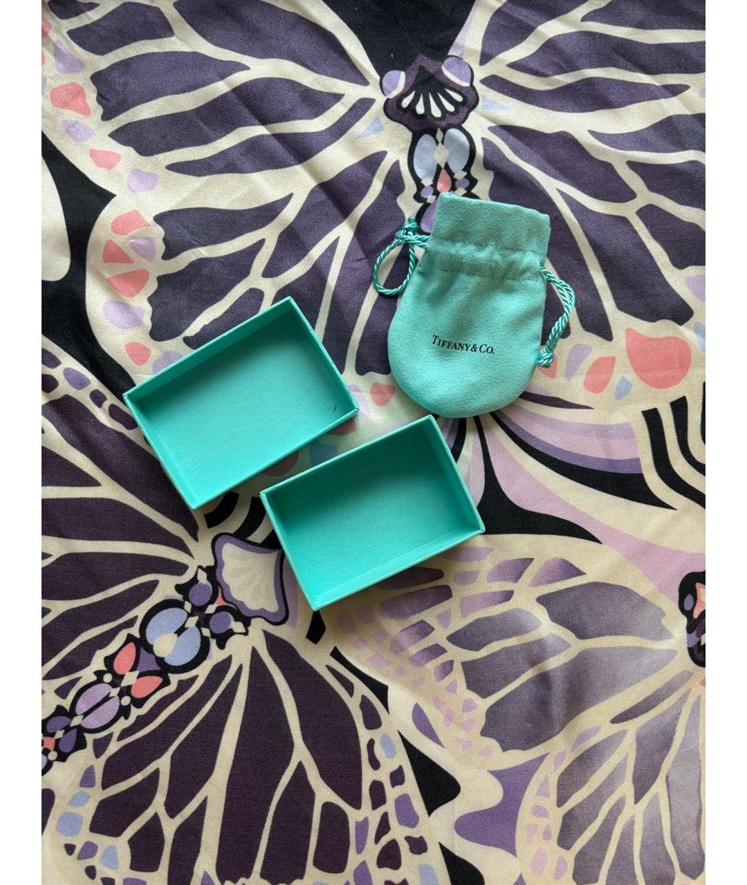 TIFFANY&CO Серебряные серебряные серьги, фото 6