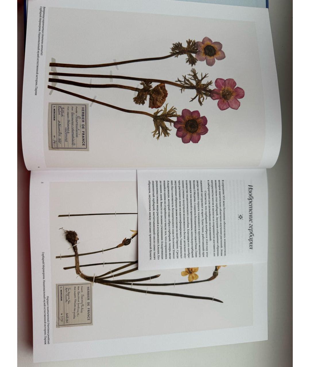 VAN CLEEF & ARPELS Книга, фото 3