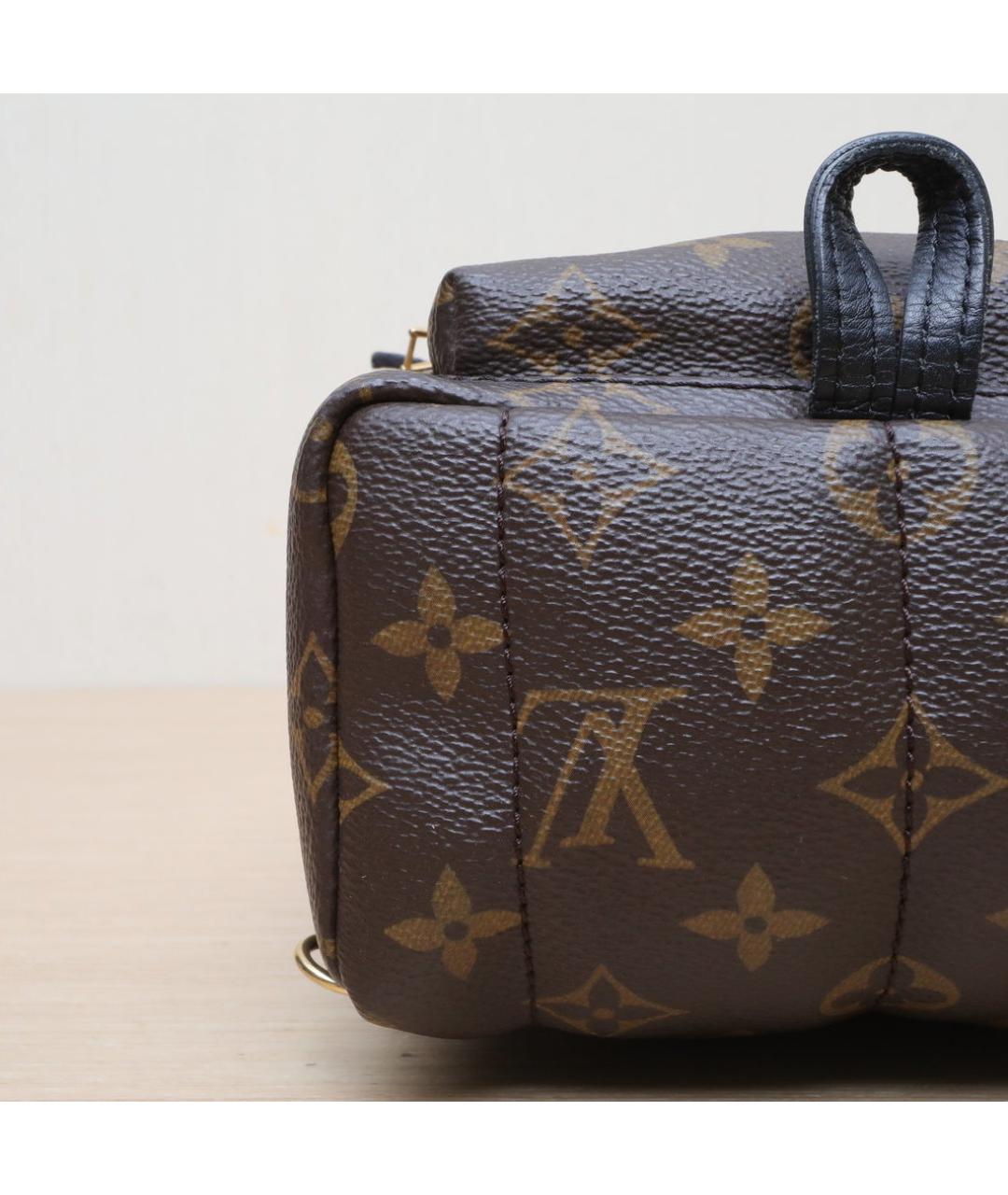 LOUIS VUITTON Коричневый кожаный рюкзак, фото 9