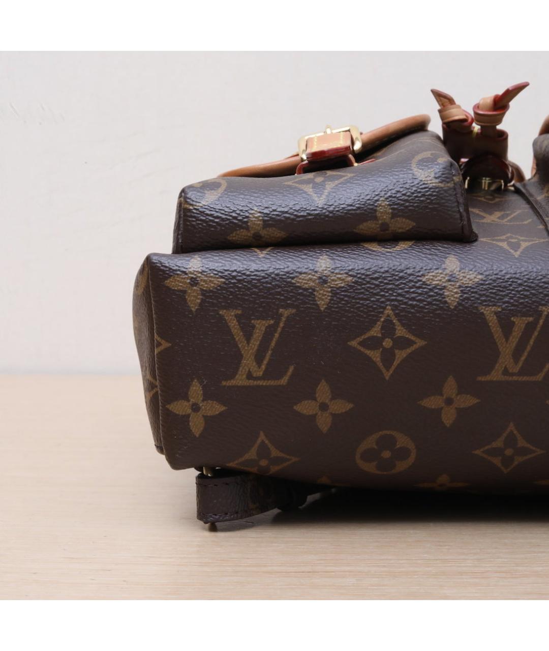 LOUIS VUITTON Коричневый рюкзак, фото 9