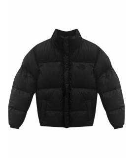 THE NORTH FACE Пуховик