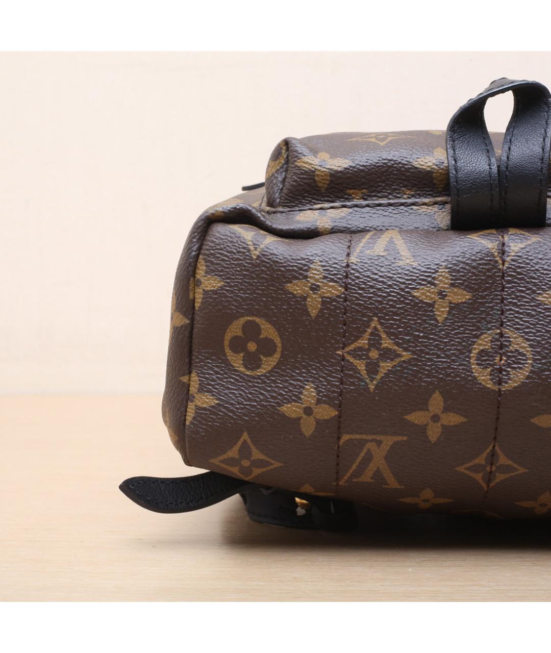 LOUIS VUITTON Коричневый рюкзак, фото 9