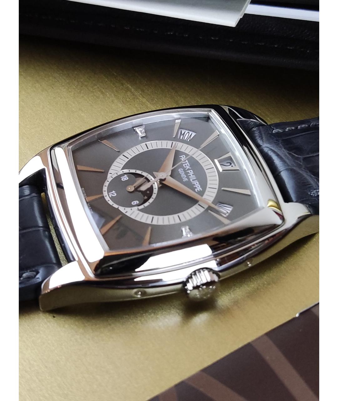 PATEK PHILIPPE Серые платиновые часы, фото 2