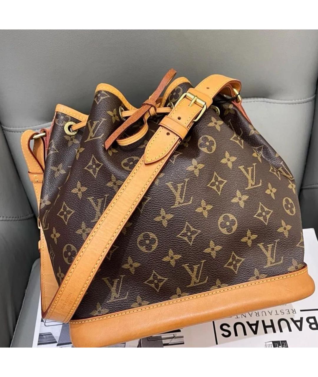 LOUIS VUITTON Коричневая кожаная сумка тоут, фото 9