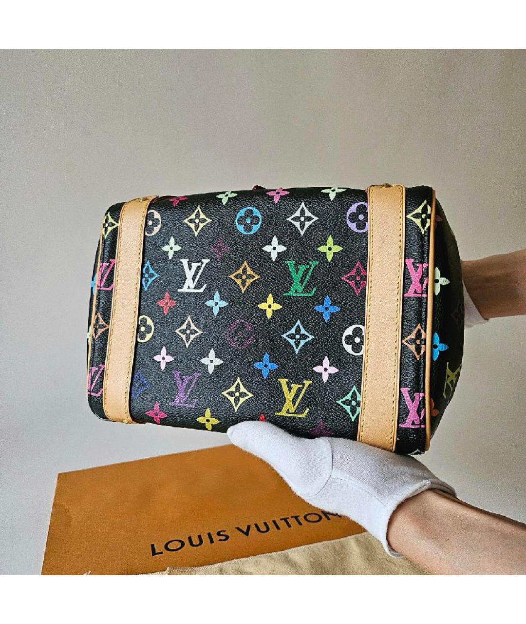 LOUIS VUITTON Мульти кожаная сумка с короткими ручками, фото 5