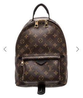 LOUIS VUITTON Рюкзак