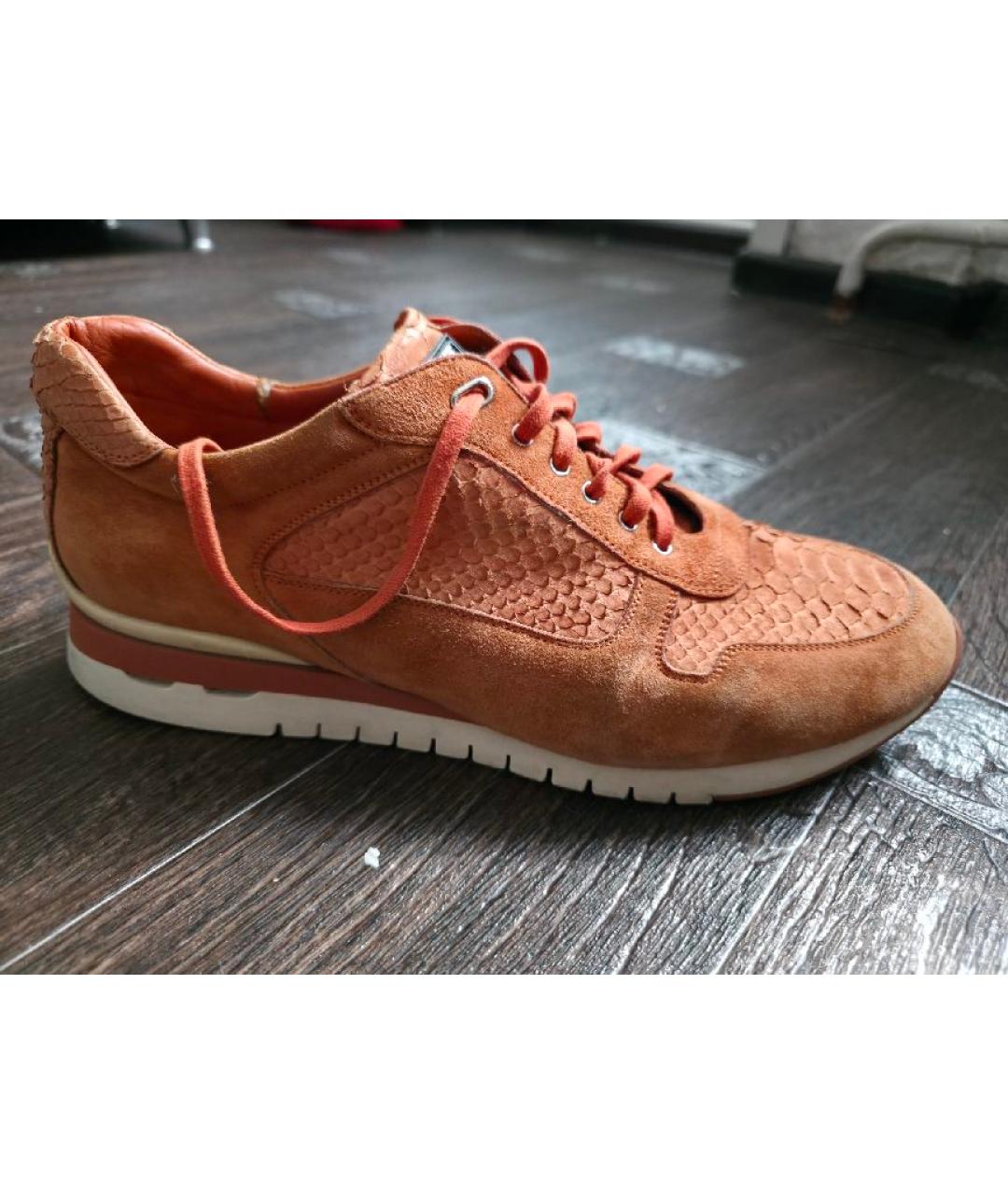 STEFANO RICCI Оранжевое замшевые низкие кроссовки / кеды, фото 6