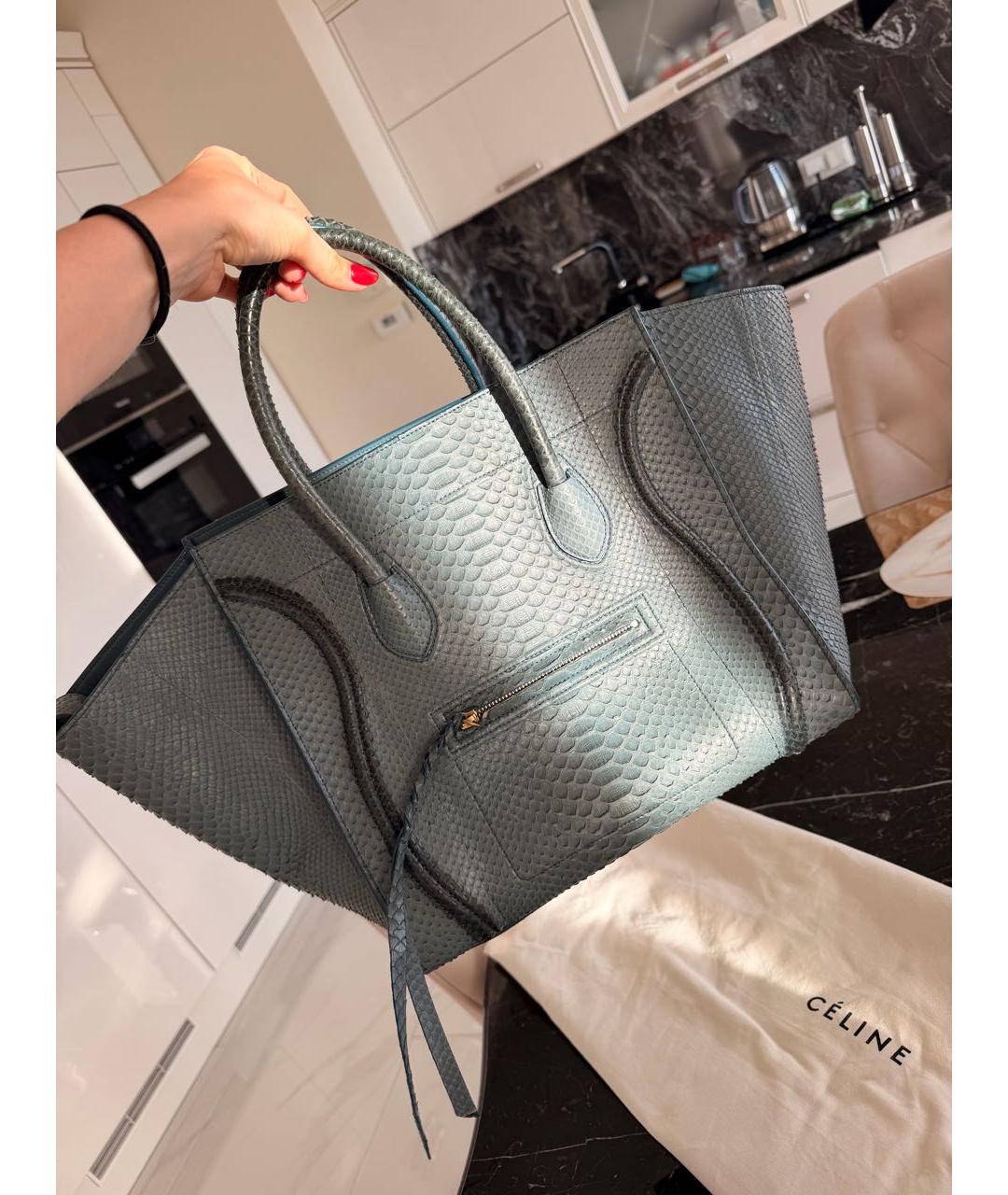CELINE Темно-синяя сумка тоут из кожи питона, фото 2