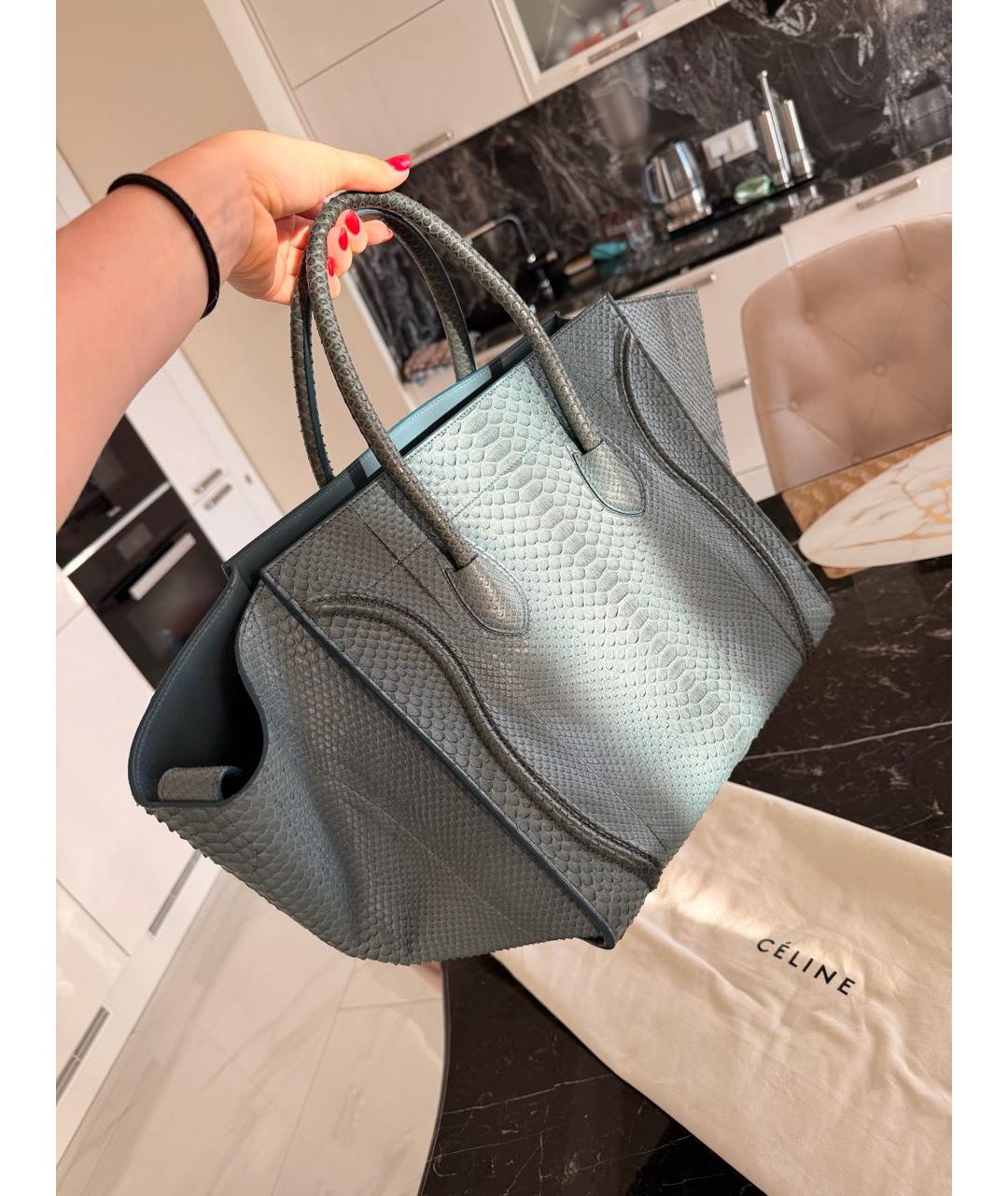 CELINE Темно-синяя сумка тоут из кожи питона, фото 5