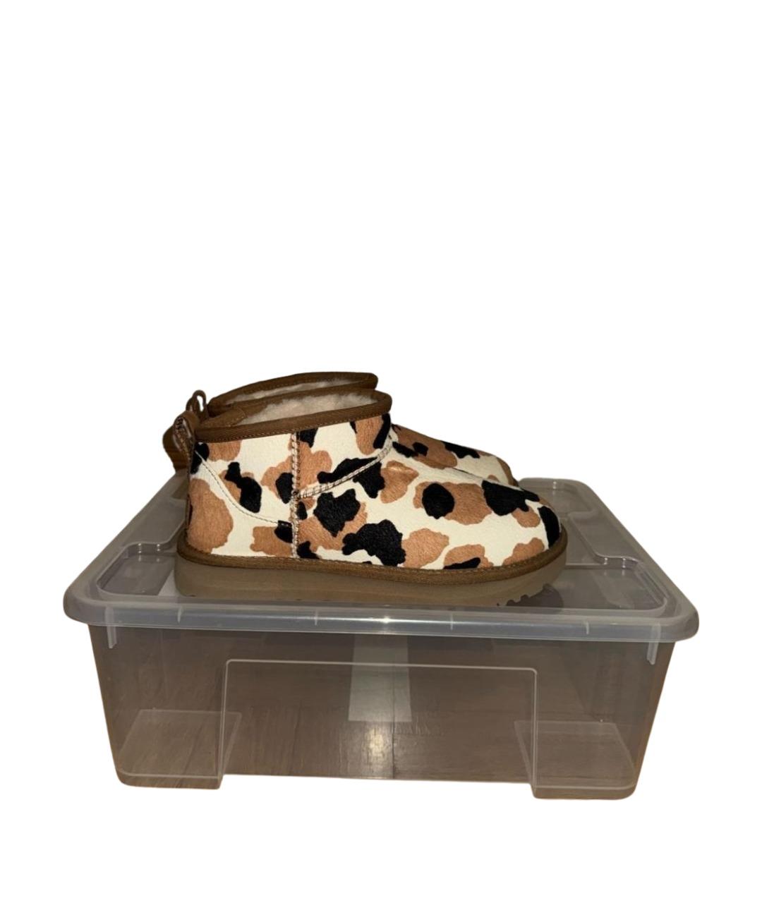 UGG AUSTRALIA Мульти замшевые ботинки, фото 6