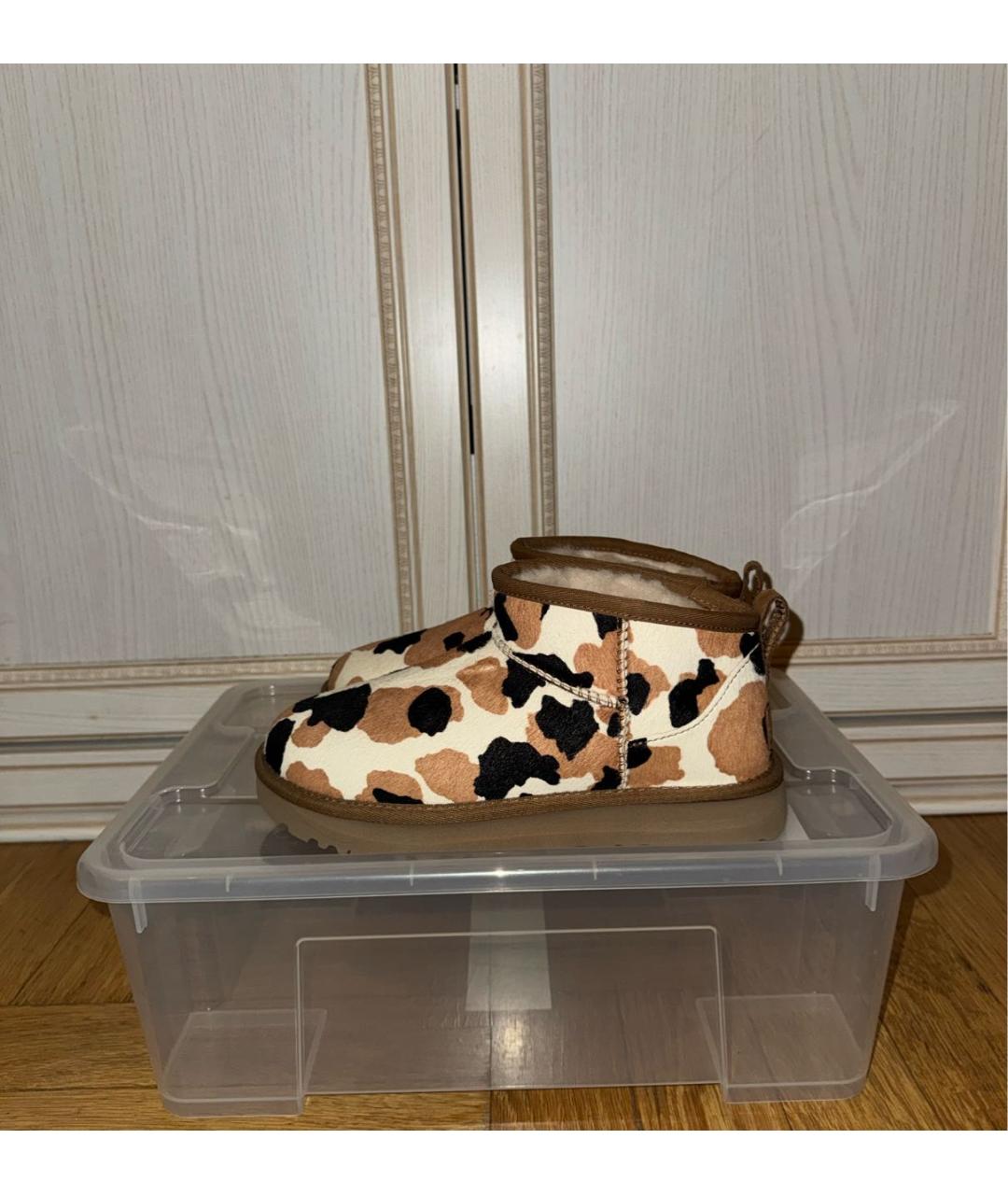 UGG AUSTRALIA Мульти замшевые ботинки, фото 5