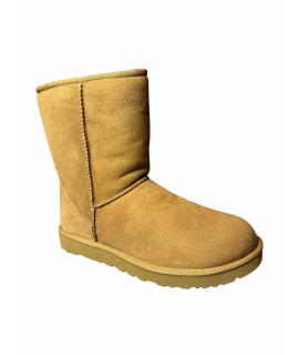 UGG AUSTRALIA Сапоги