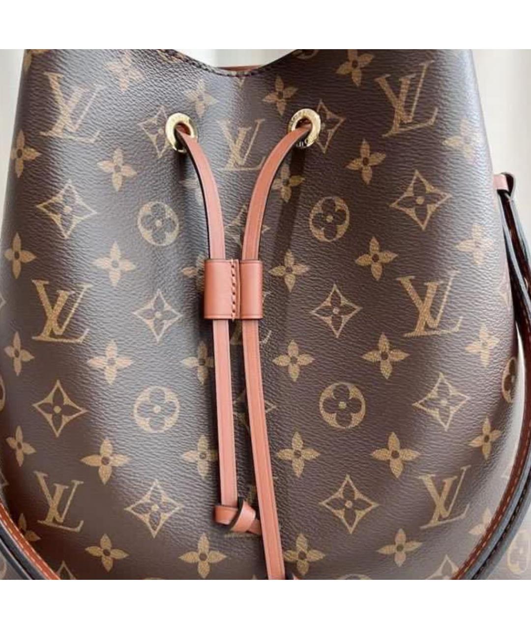 LOUIS VUITTON Коричневая сумка тоут, фото 2