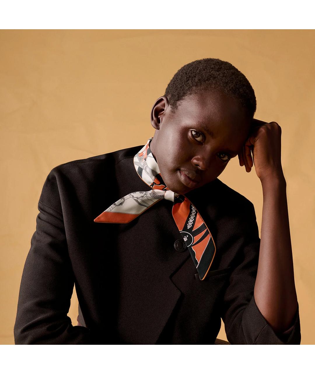 HERMES Мульти шелковый платок, фото 4