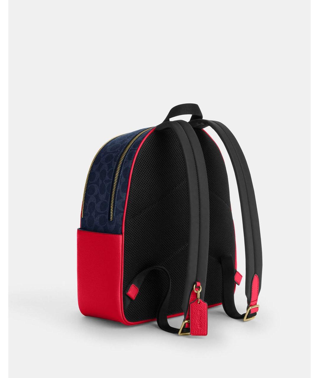 COACH Мульти кожаный рюкзак, фото 2