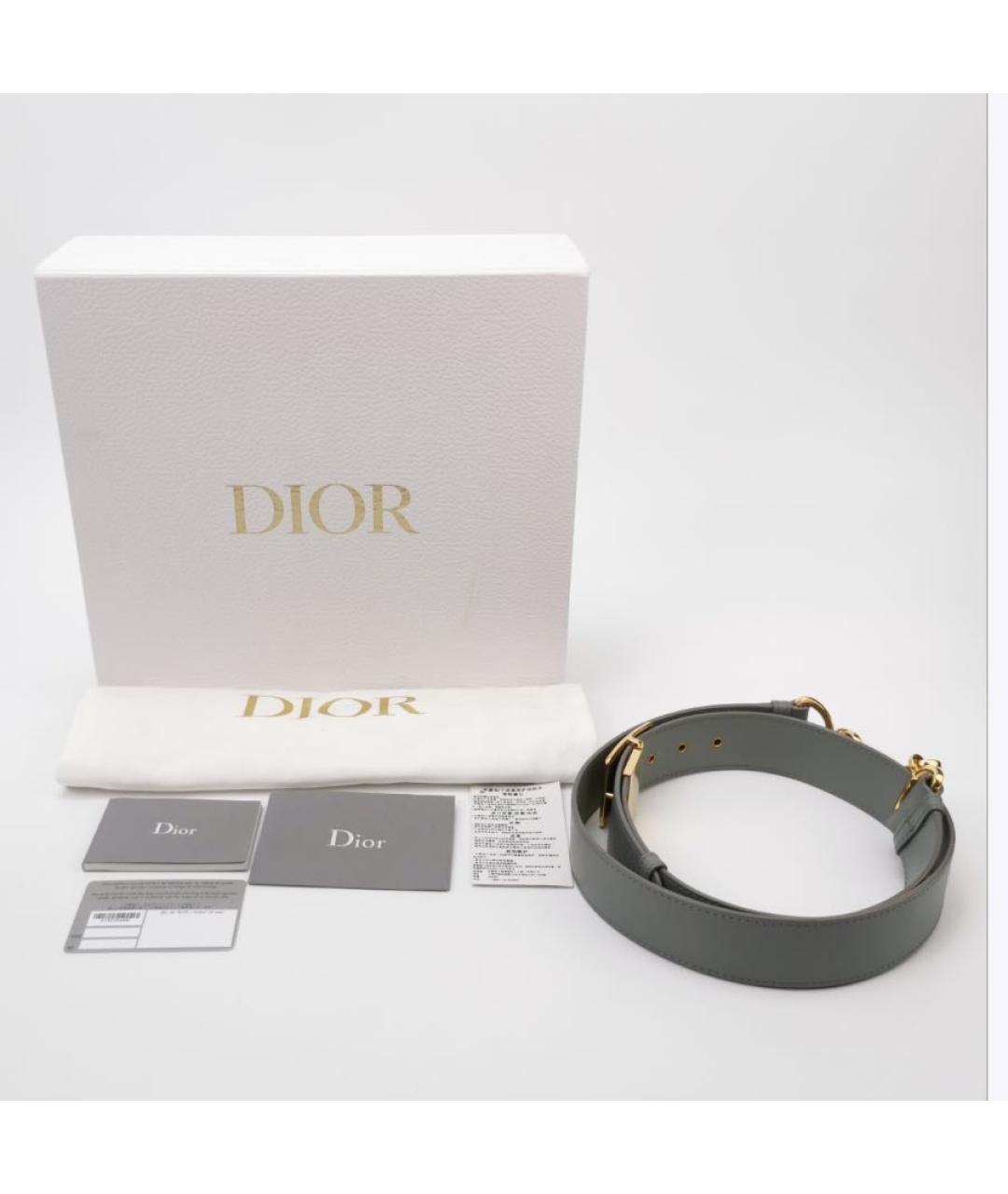 CHRISTIAN DIOR Серая кожаная сумка через плечо, фото 6