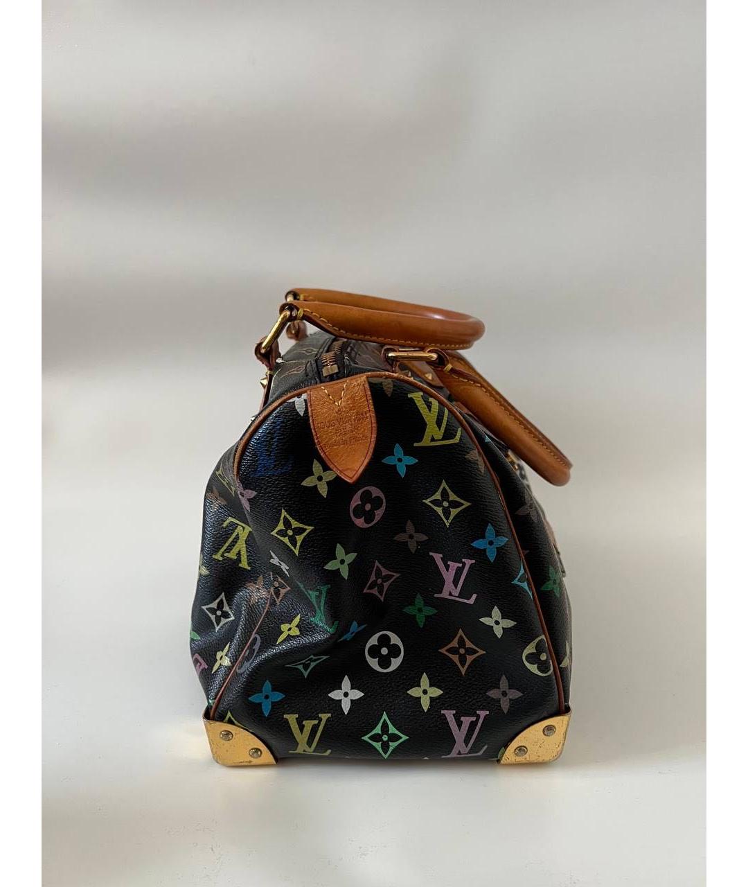 LOUIS VUITTON Мульти кожаная сумка с короткими ручками, фото 2