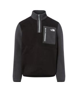 THE NORTH FACE Худи/толстовка