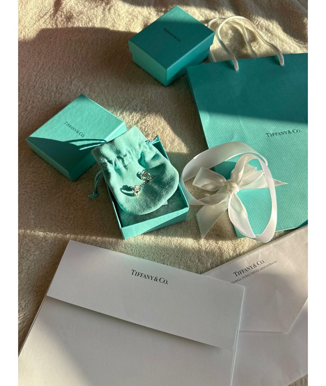 TIFFANY&CO Серебряные серебряные серьги, фото 4