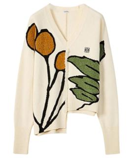 LOEWE Джемпер / свитер