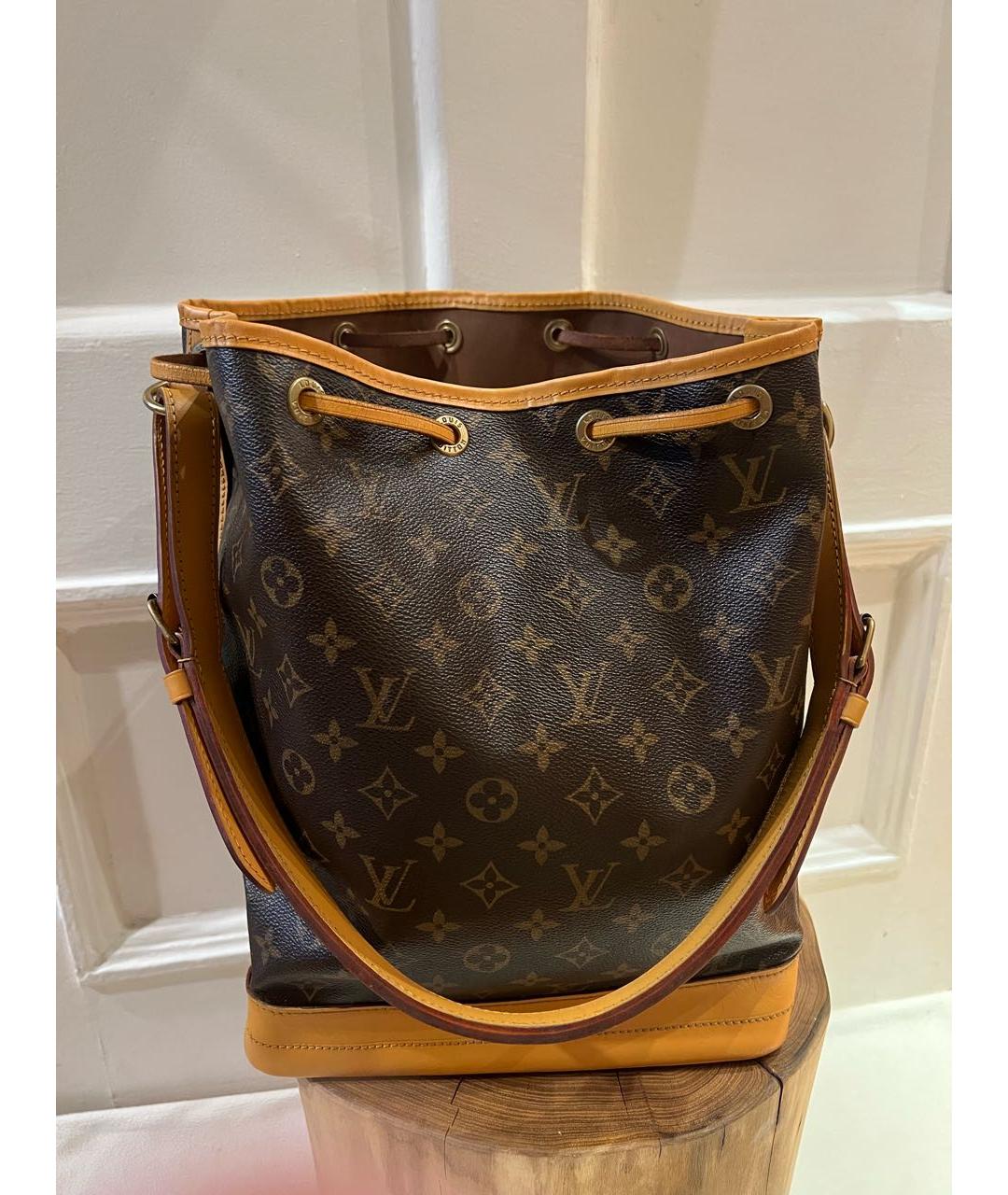 LOUIS VUITTON Коричневая сумка тоут, фото 4