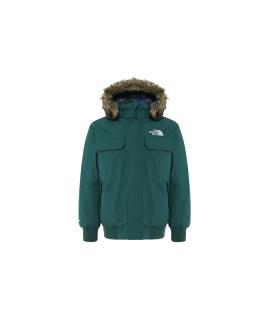 THE NORTH FACE Пуховик