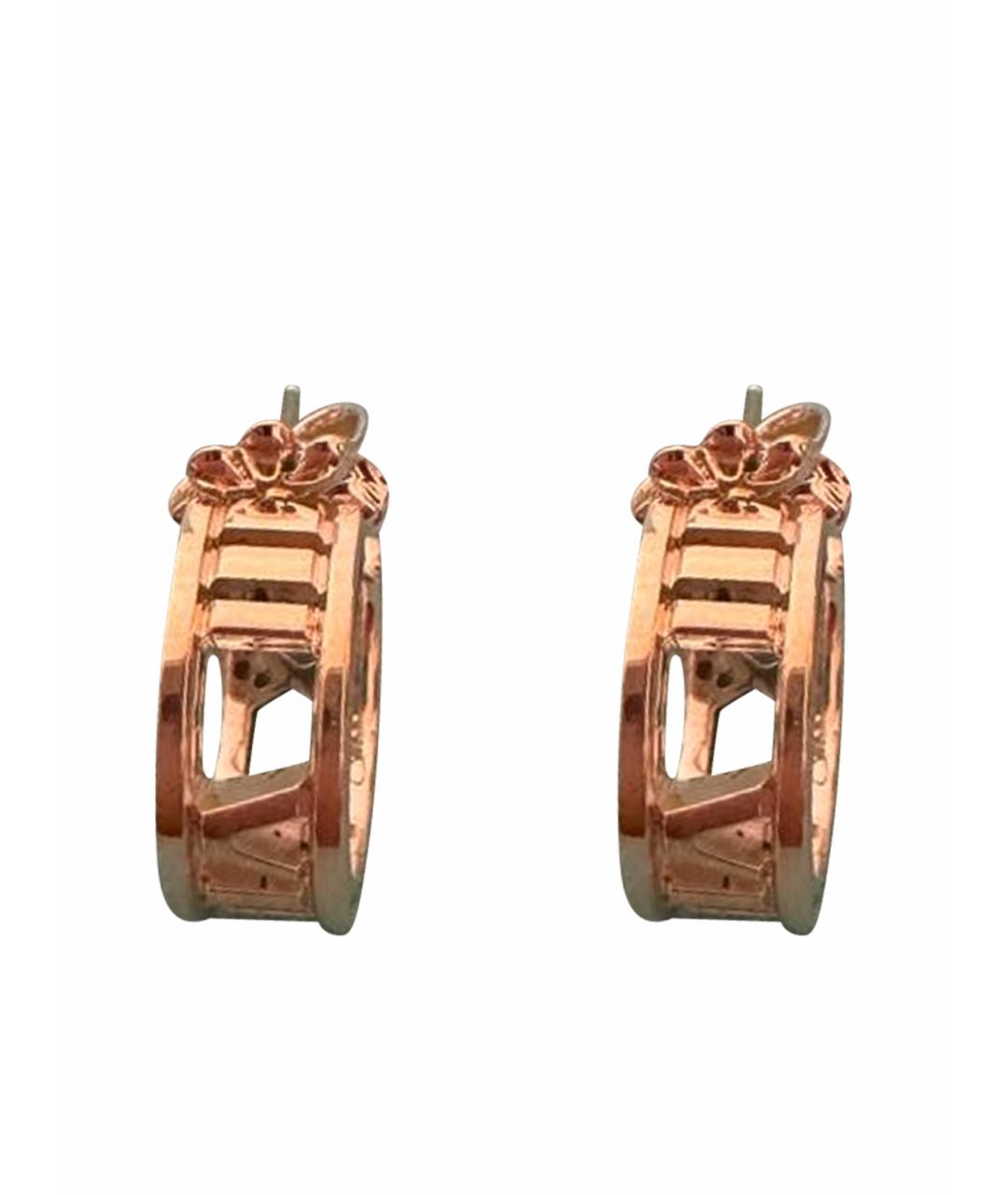 TIFFANY&CO Серебряные серебряные серьги, фото 1