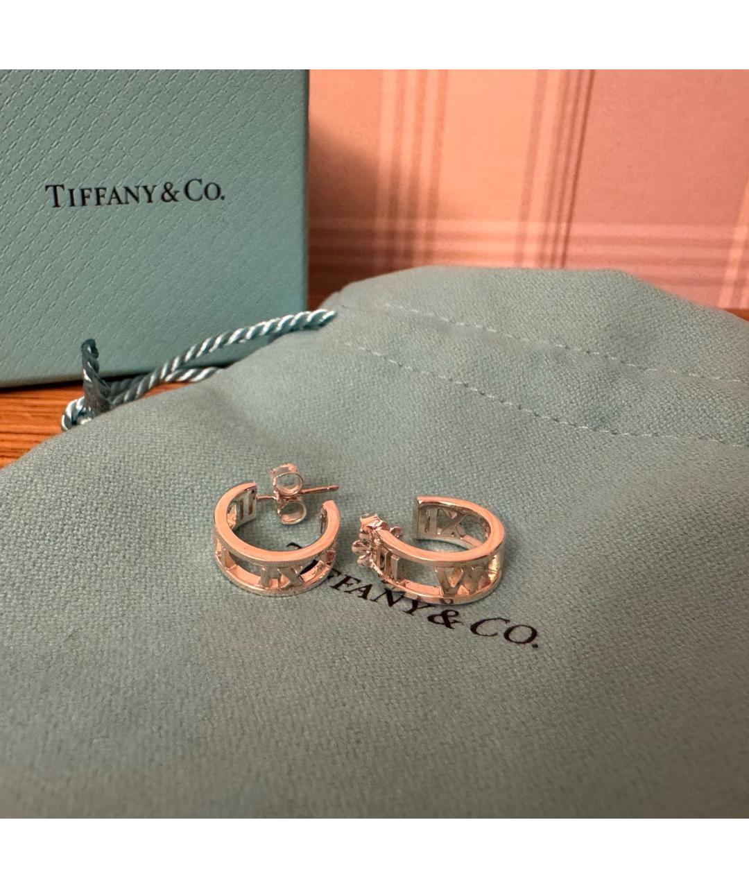 TIFFANY&CO Серебряные серебряные серьги, фото 2