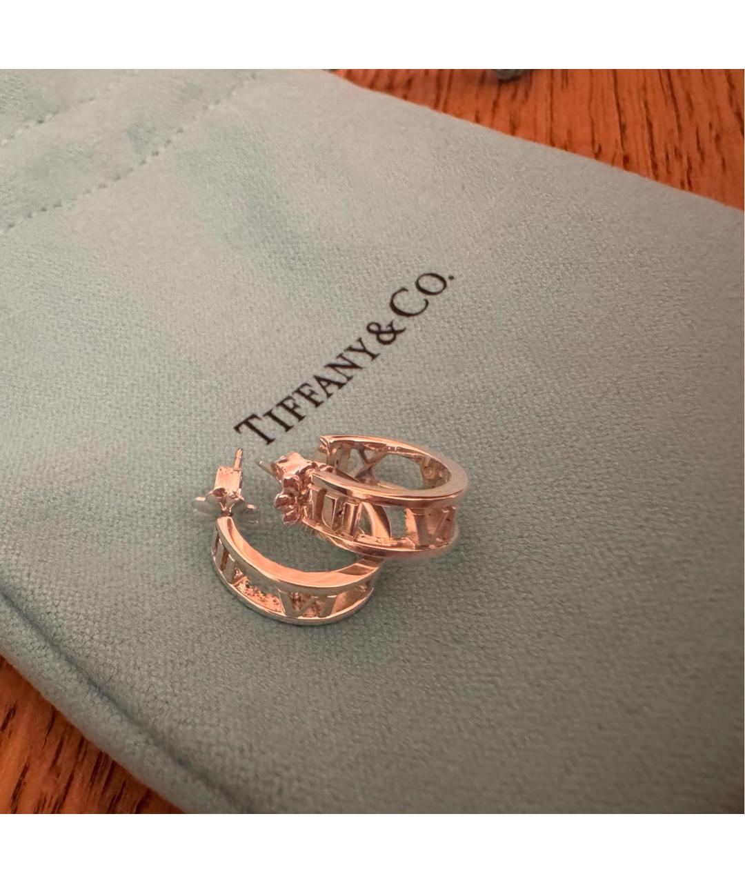 TIFFANY&CO Серебряные серебряные серьги, фото 3