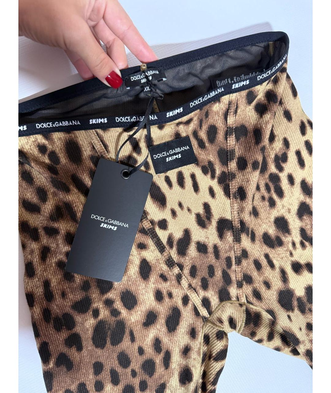 DOLCE&GABBANA Черные хлопковые леггинсы и велосипедки, фото 3