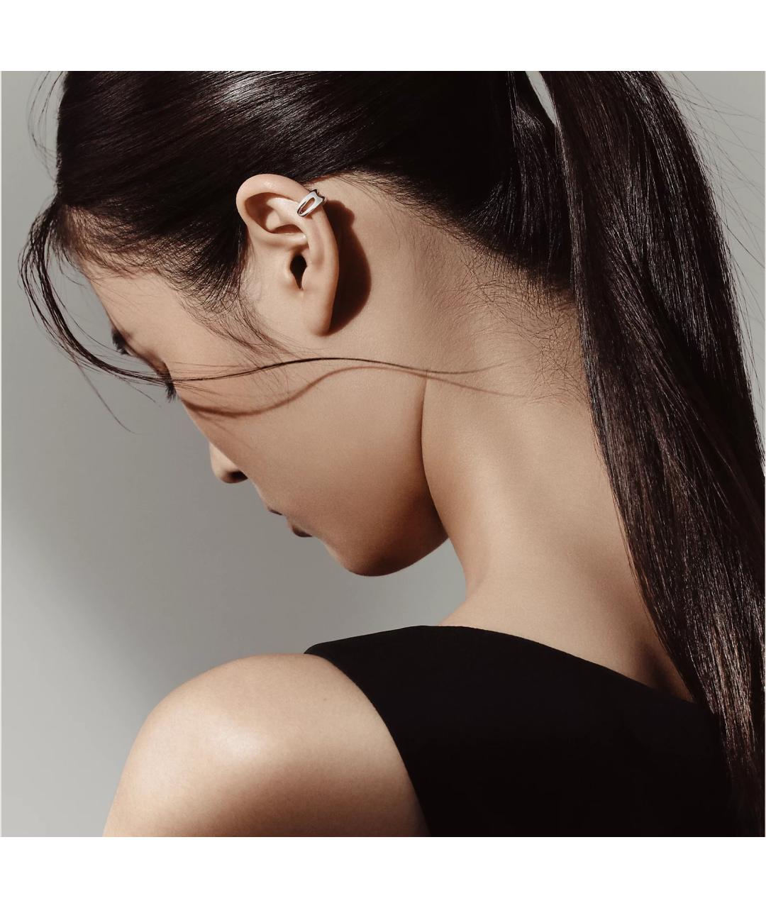 HERMES Серебряные серебряные серьги, фото 2