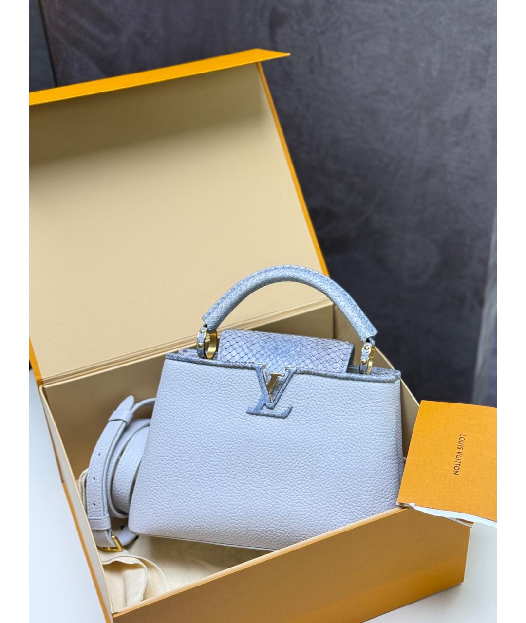 LOUIS VUITTON Голубая кожаная сумка с короткими ручками, фото 2