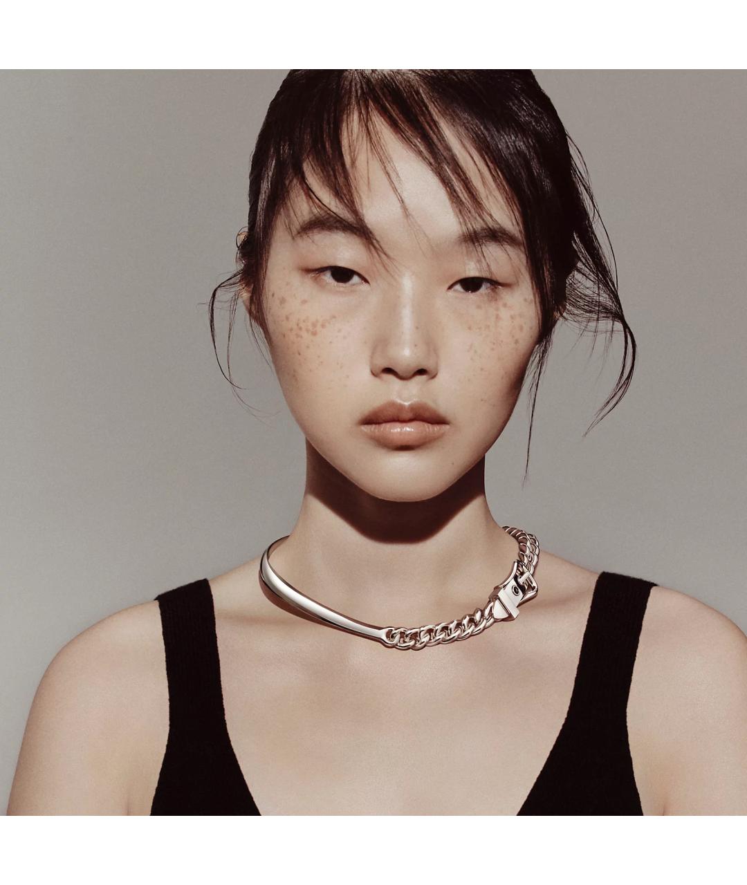 HERMES Серебряное серебряное колье, фото 2