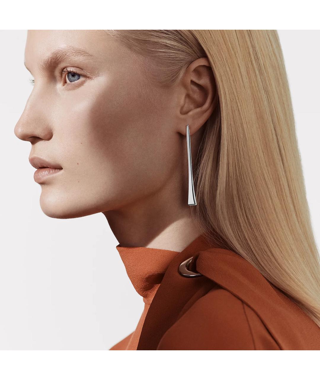 HERMES Серебряные серебряные серьги, фото 2