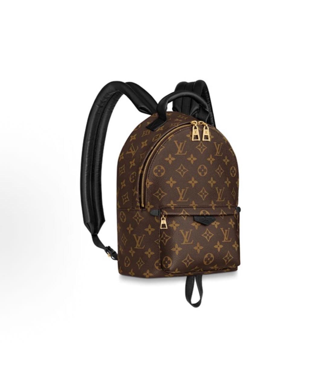 LOUIS VUITTON Коричневый рюкзак, фото 3