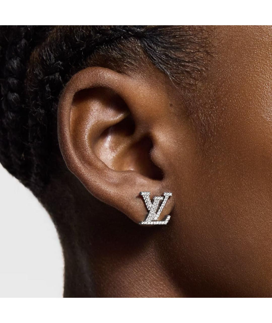 LOUIS VUITTON Серебряные металлические серьги, фото 4