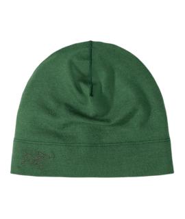 ARCTERYX Шапка