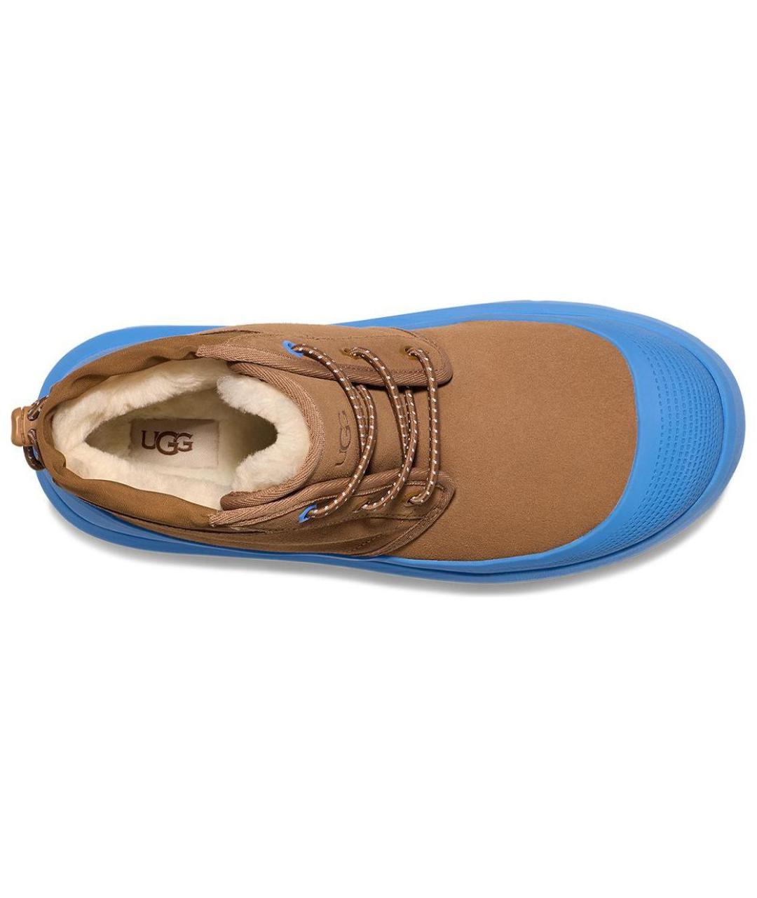 UGG AUSTRALIA Синие замшевые высокие ботинки, фото 5