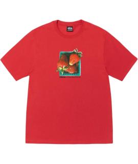 STUSSY Футболка