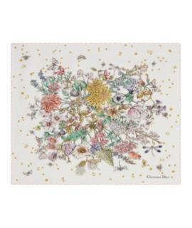 CHRISTIAN DIOR Шарф