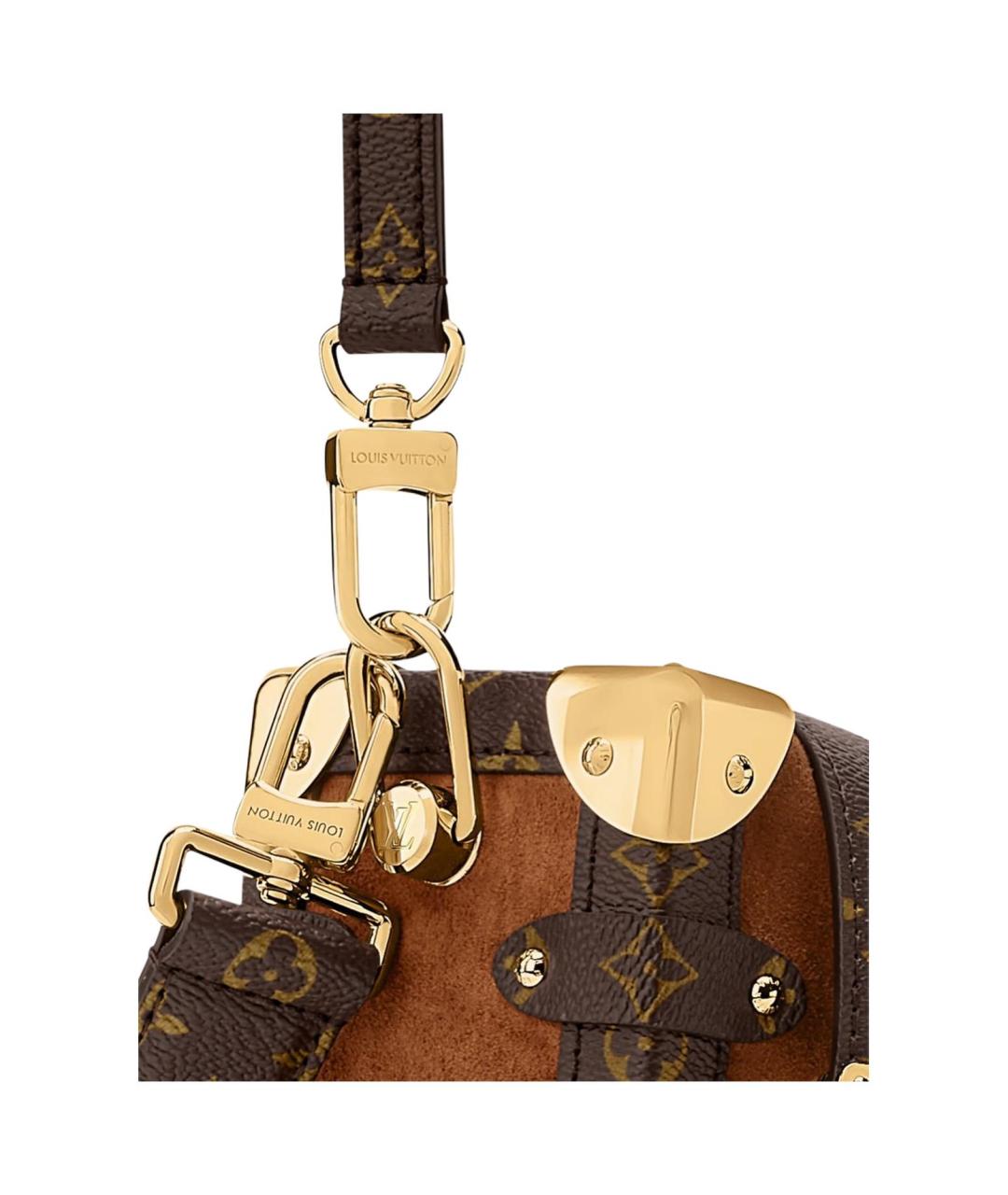 LOUIS VUITTON Коричневая кожаная сумка через плечо, фото 5