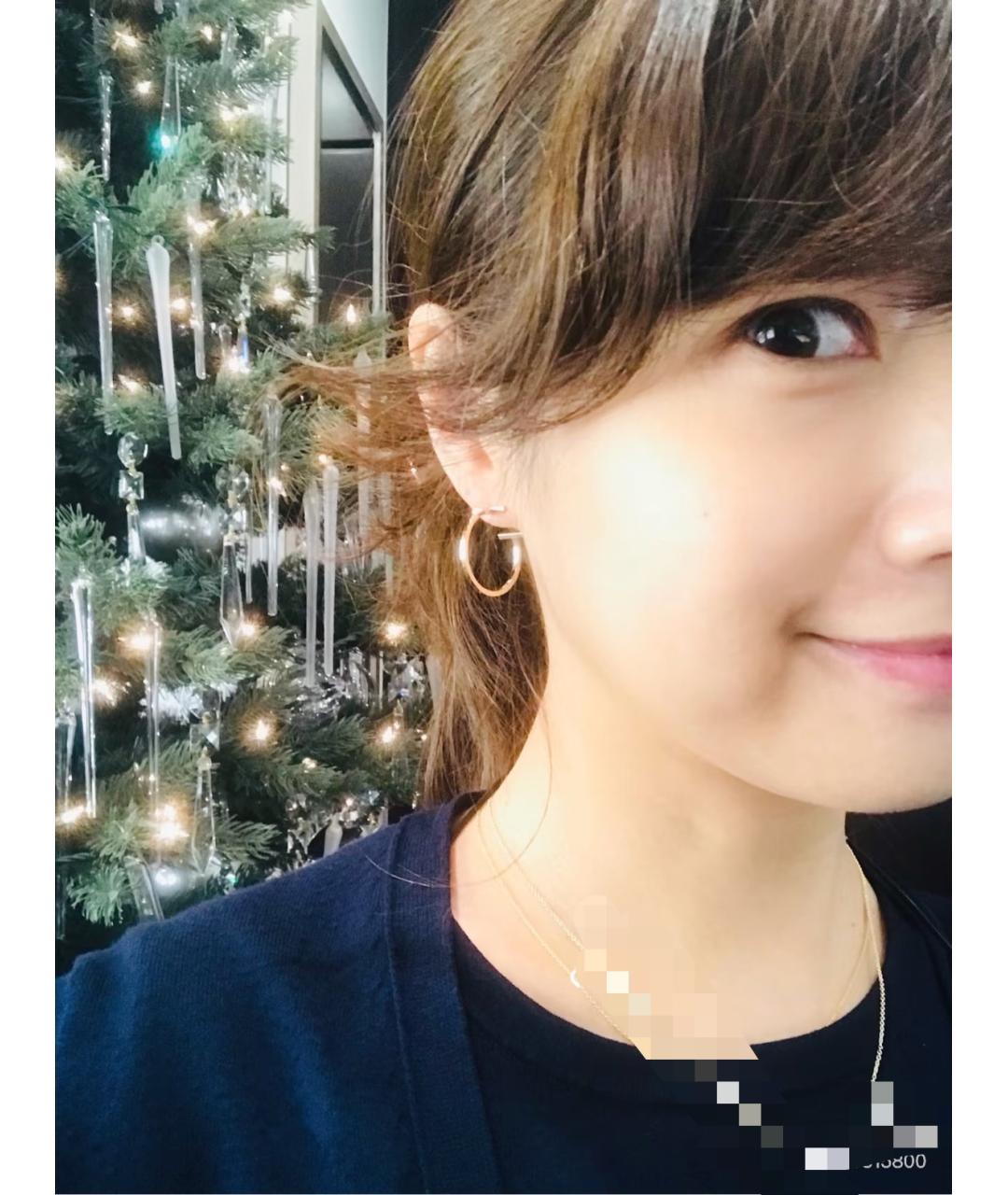 TIFFANY&CO Золотые серьги из розового золота, фото 5