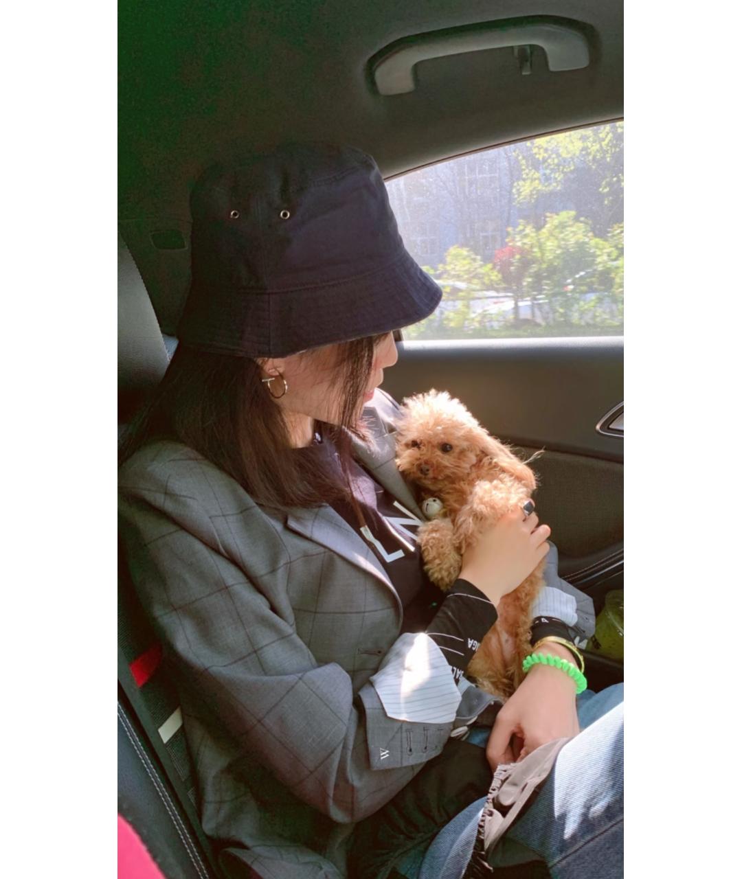 TIFFANY&CO Золотые серьги из розового золота, фото 8