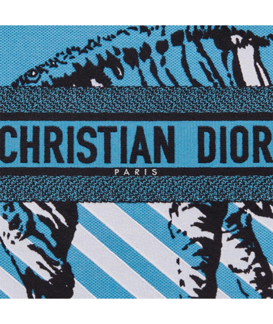 CHRISTIAN DIOR Синяя сумка через плечо, фото 6