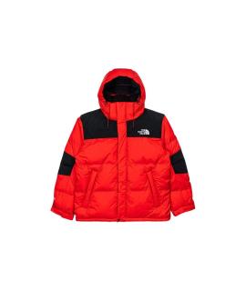 THE NORTH FACE Пуховик