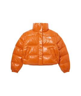 THE NORTH FACE Пуховик